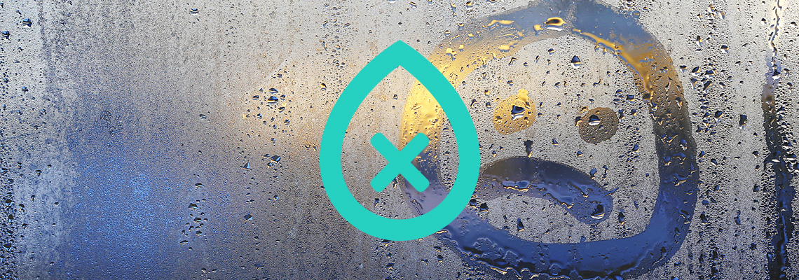 Condensation Damp Specialists