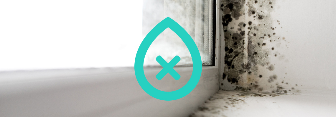 Condensation Damp Proofing