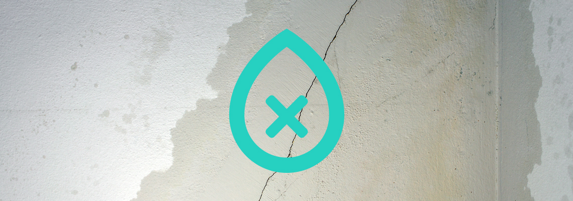 Cracked Wall Damp Proofing