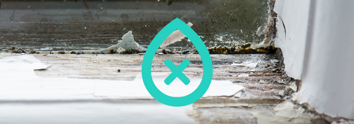 Rising Damp Specialists