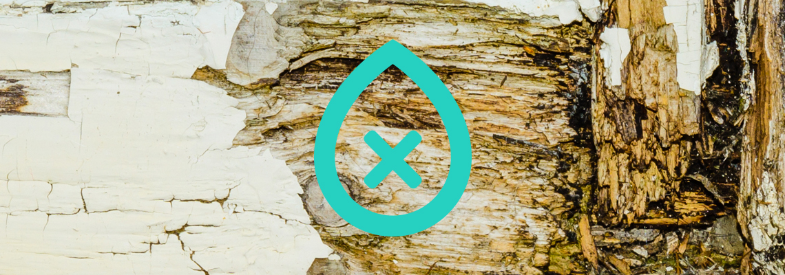 Wet Rot | I Need damp proofing